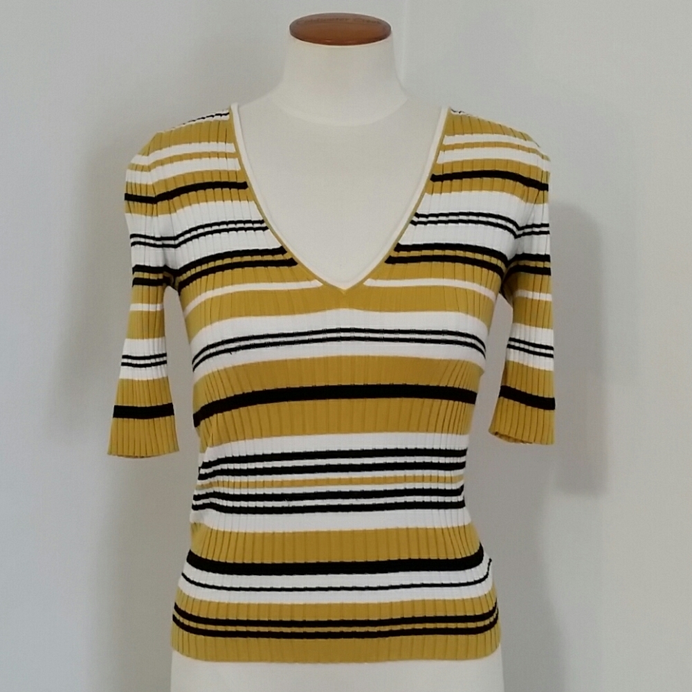 Express Short Sleeved V-neck Ribbed knit top